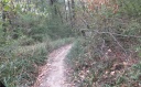 12-DSCF7048