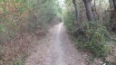 15-DSCF7051