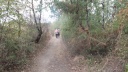 16-DSCF7052