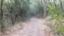 17-DSCF7053