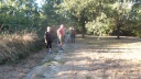 05-DSCF6868