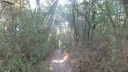 13-DSCF6884