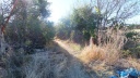 14-DSCF6886