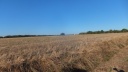 15-DSCF6890