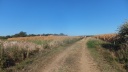 16-DSCF6898