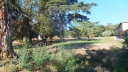 18-DSCF6904