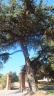 19-DSCF6905