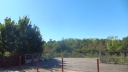 29-DSCF6923