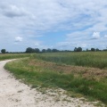 31 05 launac 06