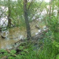 31 05 launac 11